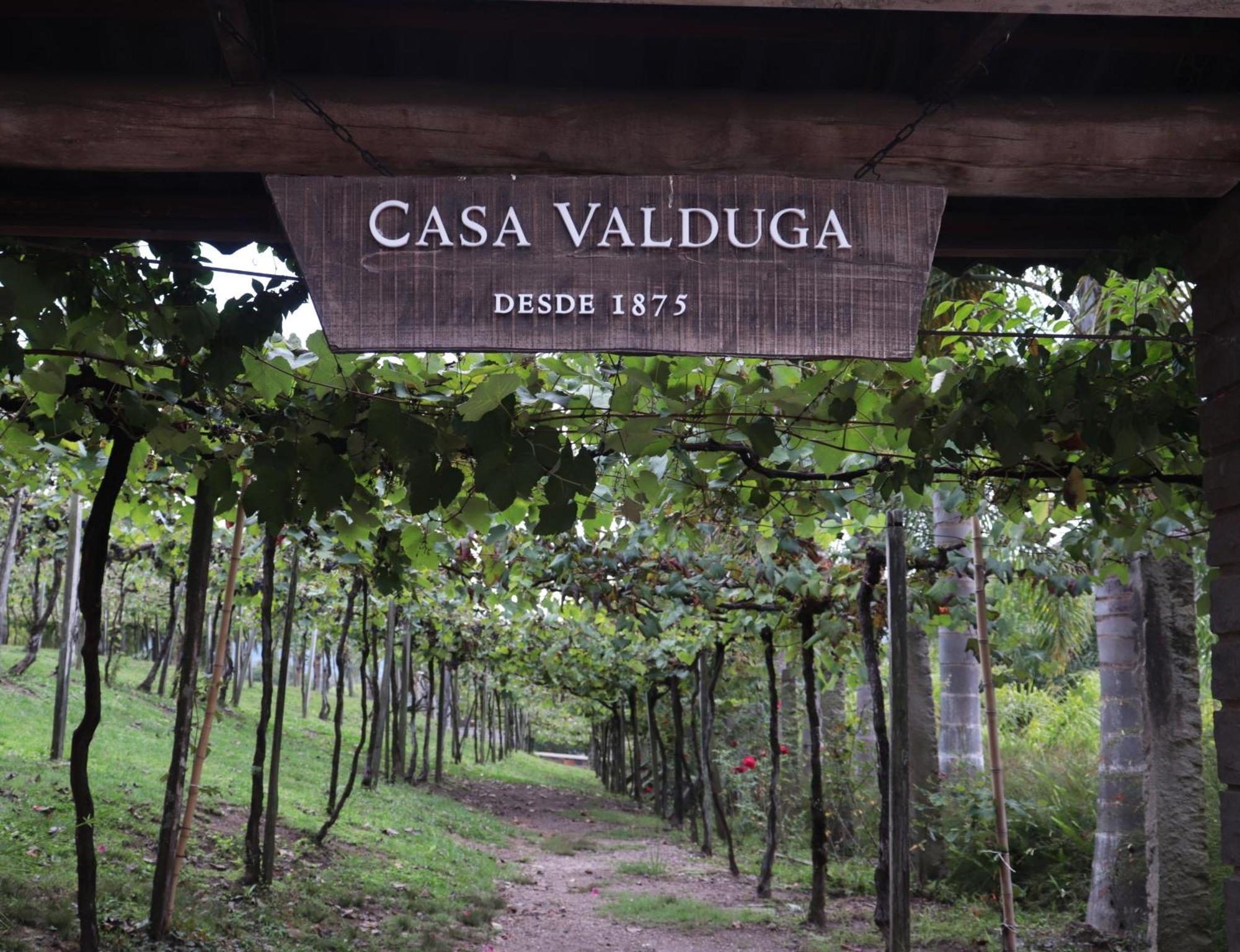 Casa Valduga Pousada Boutique Bento Goncalves Exterior photo